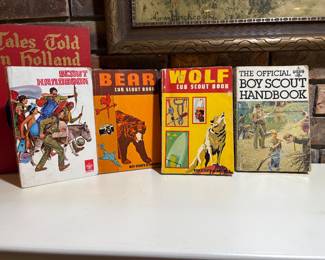 Cub Scout