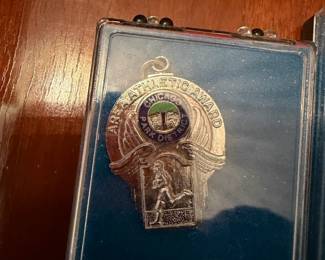 Chicago Park District Pin