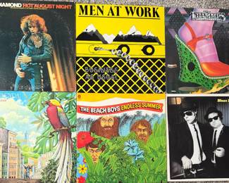 Vinyl: Neil Diamond, Men At Work, The Trammps, Spyrogyra, Beach Boys, Blues Brothers