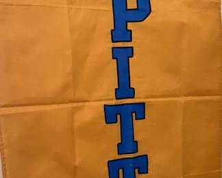 PITT Flag