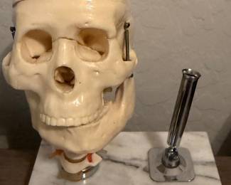 Skull Pen Holder