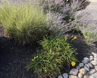 Landscaping