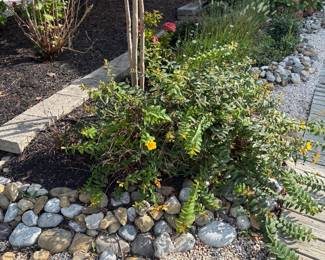 Landscaping
