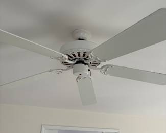 Ceiling fan