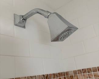 Shower head