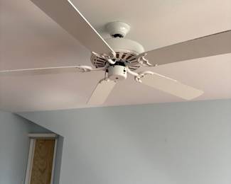 Ceiling fan