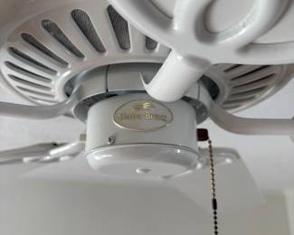 Ceiling fan
