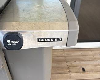 Weber genesis ii