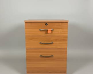 Mobile ThreeDrawer Filing Cabinet