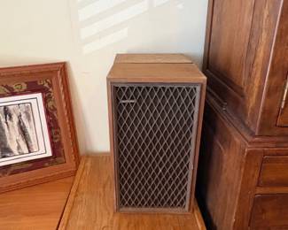 Realistic Nova Speakers