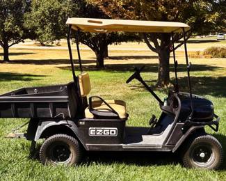 EZGO