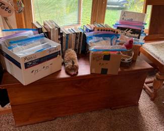 Magic tricks, books, cape 