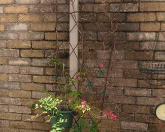 Wrought Iron Garden Trellis with Scroll Top