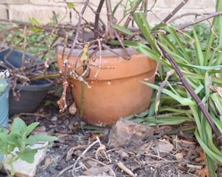 Standard Terra Cotta Garden Pot