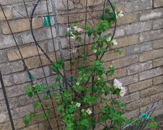 Heart-Shaped Metal Garden Trellis