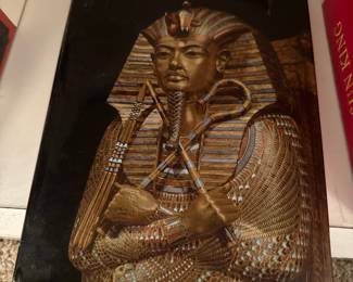 Tutankhamen: Life and Death of a Pharaoh (Hardcover Book)