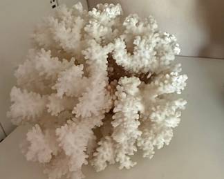 Natural White Branching Coral Specimen