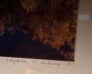 Paula Crane Signed Limited Edition Etching 'Reflections Series'