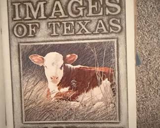 Images of Texas Quarterly (Spring, Summer, Fall/Winter 1981) and Three Hundred Years of American Painting