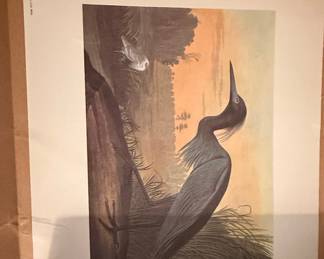 John James Audubon Little Blue Heron Print - Plate 307