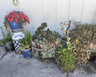 Plants