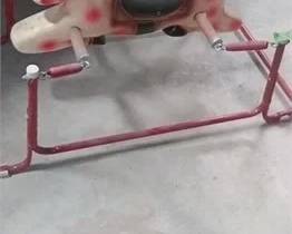 Rocking horse