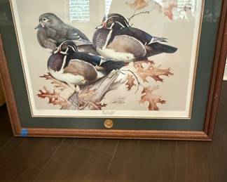 Federal Duck Stamp Print by David Maass