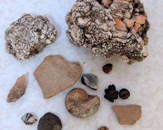 Large Quartz, Fossil Collection More