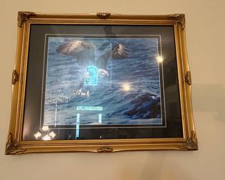 Bald Eagle Wildlife Print by Jim Hansel, Framed