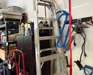 Werner 6 ft. Aluminum Step Ladder