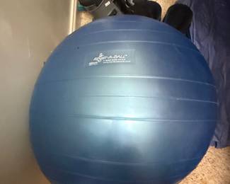 SPRI Resist-A-Ball Exercise Ball