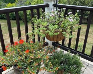 781 decorativeoutdoorplanterswithfloweri