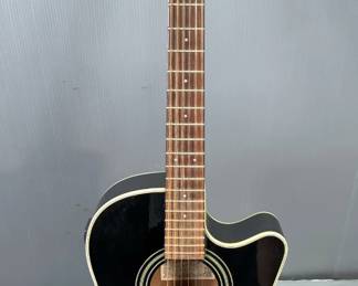 Ibanez AE18BK Acoustic Electric Guitar In Gig Bag, With Capo And Guitar Stand