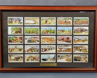 John Player & Sons "From Plantation To Smoker" Framed 1926 Complete Set Of Tobacco/Cigarette Cards, Approx 12" x 18.25"