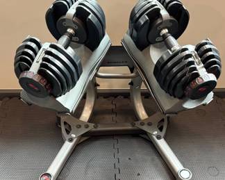 Lot #15 Bowflex SelectTech 552 Adjustable Dumbbell Set Pair with Stand Home Gym