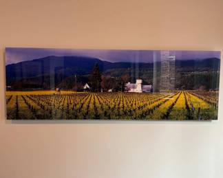 Lot #17 Peter Lik Signed Ltd Ed 943/950 Napa Valley Mustard Season