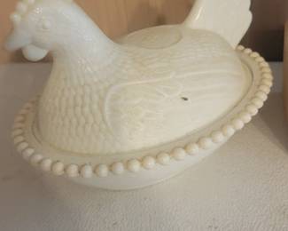 Hen on nest