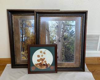 Framed Aspen Artwork