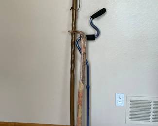 Walking Sticks