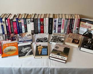 Political Novels