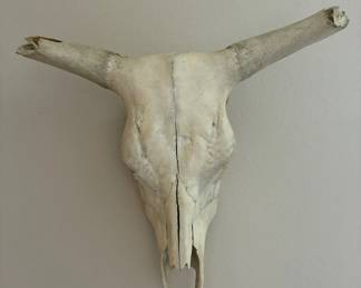 Bull/Cow Skull