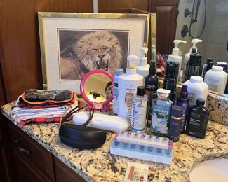 Framed lion, bathroom essentials and cosmetic products