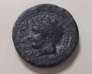044  Lot 86  Ancient Sicilian Arkagas bronze hemilitron coin