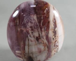 Lot 455  Polished petrified wood paperweight