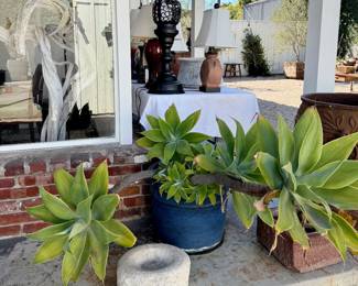 Great Planters