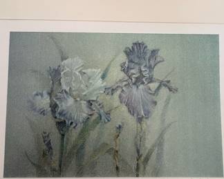 Marion Salkind Botanical Print Collection