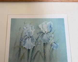 Marion Salkind Botanical Print Collection