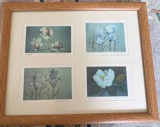 Marion Salkind Botanical Print Collection