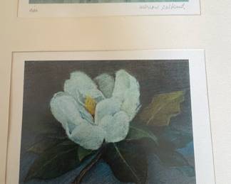 Marion Salkind Botanical Print Collection