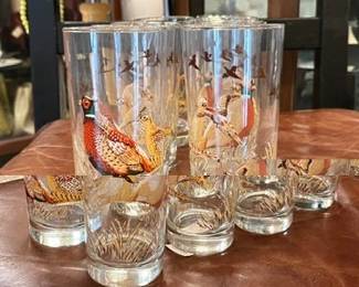 Bird Glasses